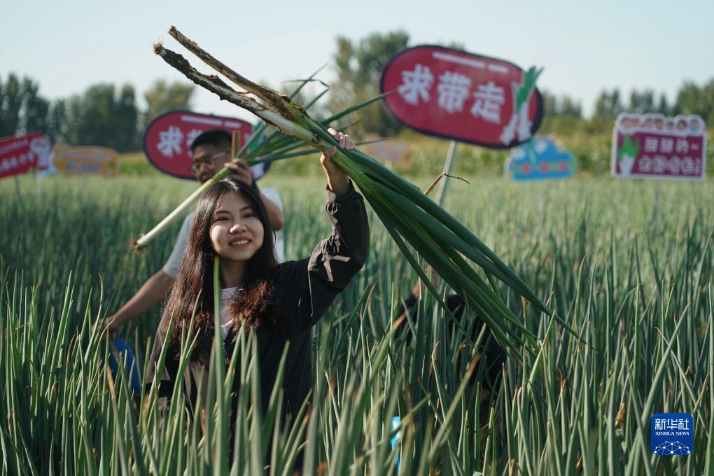 打鱼赢现金金沙